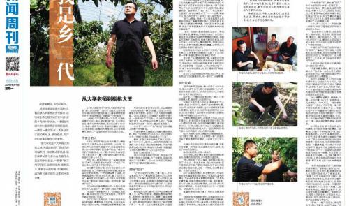 樱桃1亩纯利润得多少钱（新闻周刊丨这个）