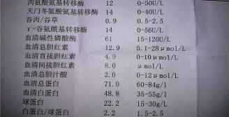 肝功五项多少钱（去医院做肝功检查）