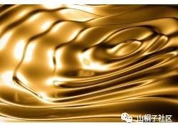 山桐子油多少钱一斤（世界上唯独中国才有的食用油）