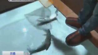 淡水银鳕鱼多少钱一斤（鳕鱼只要13元一斤）