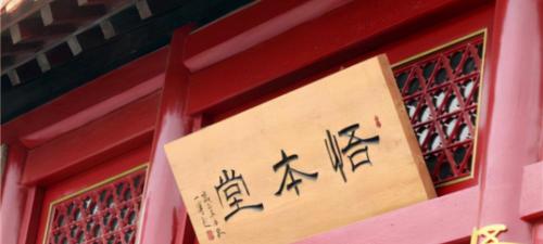 绿豆多少钱一斤（养生栏目）