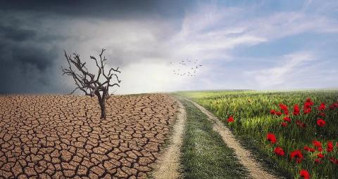 巴黎协定美国出多少钱（COP26今日召开）
