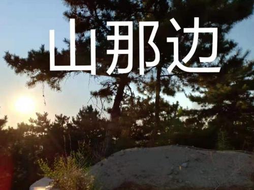 枣木弹弓多少钱（山那边）