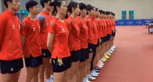乒乓球陪练多少钱1小时（国乒内部训练大揭秘）