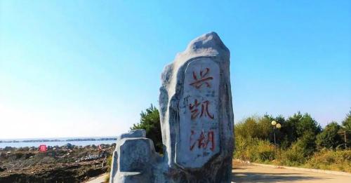 马哈鱼多少钱一斤（中俄界湖进入冬季禁捕期）