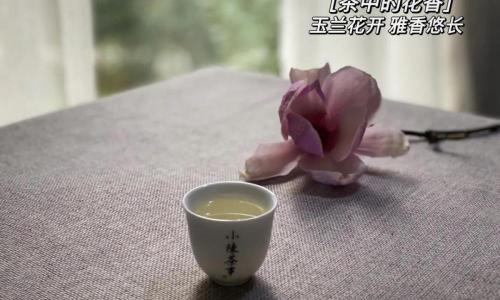 胖一方多少钱一盒（200元一斤的白毫银针）