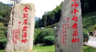 金骏眉茶叶多少钱一斤价格（金骏眉）