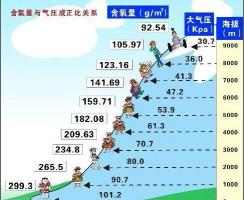 黄鹤楼红景天多少钱一包（有了这张图表）