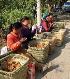 纯甘蔗红糖多少钱一斤（花一年时间找真红糖的年度报告）