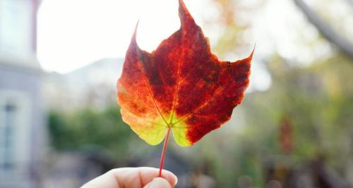 律师函多少钱（催收人员打电话说要发律师函到当地是真的吗）