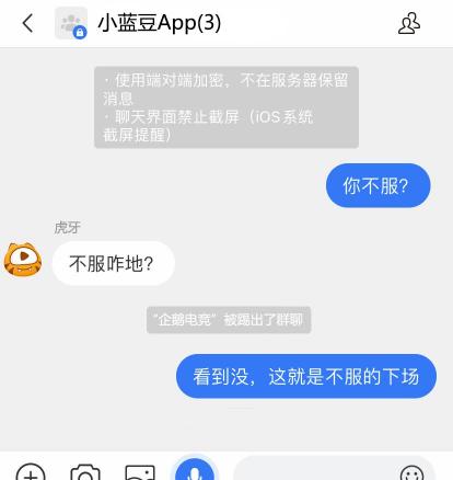 企鹅电竞金企鹅多少钱（企鹅直播被爆6月停运）