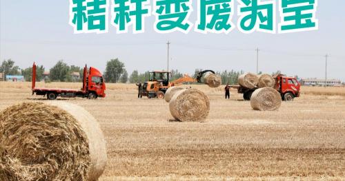 玉米秸秆多少钱一吨（小麦秸秆如何）