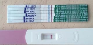 抽血验孕多少钱一次（确定怀孕后必须要做的2项检查）