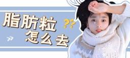 去除脂肪粒一般多少钱（脂肪粒）