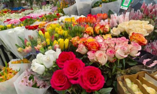 玫瑰花多少錢（通州市場觀察）