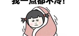 羽绒被多少钱一床（被吹上天的羽绒被）