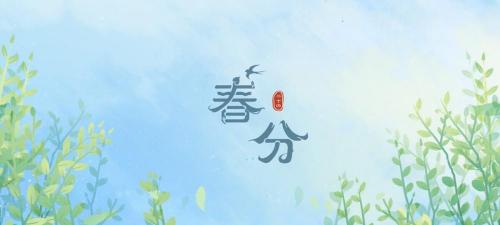 野胡萝卜籽多少钱一斤（春分后）