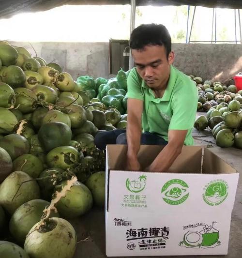 完美海藻冻多少钱一盒（去海南）
