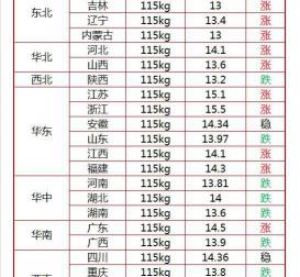 一頭豬大概多少錢（今日豬價行情）