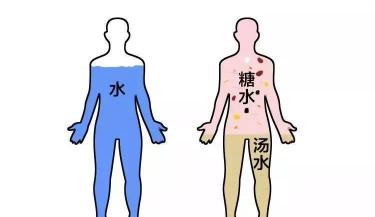 海石花多少钱一斤多少（在广州）