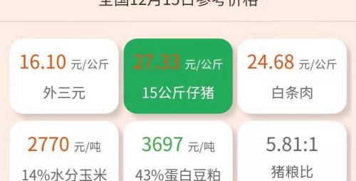 30斤小猪多少钱一斤（12月15日仔猪价格）