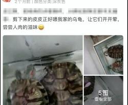 割包皮大概要多少钱（割包皮也能自己动手）