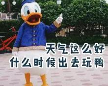新密牡丹园门票多少钱（门票优惠）