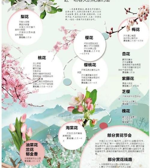 河东龙园门票多少钱（临沂最新赏花地图来啦）