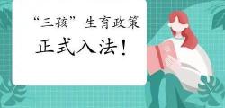 生三个小孩要罚多少钱（生三胎合法了）