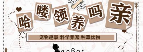 小猫驱虫多少钱（从不出门的猫咪还用驱虫吗）
