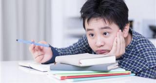 手風琴價格一般多少錢（課后托管服務雖好）