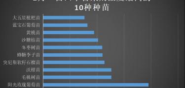 阳光玫瑰葡萄苗多少钱一棵（一亩田平台采购热度最高的10个种苗品类）