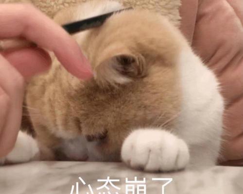 拔智齿多少钱正常价格（同样是拔智齿）