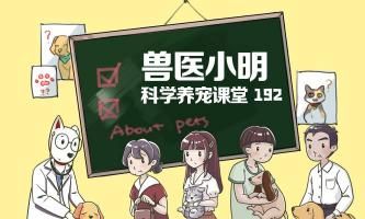 狗狗抗体检测多少钱（网上购买的二个月大的狗狗）