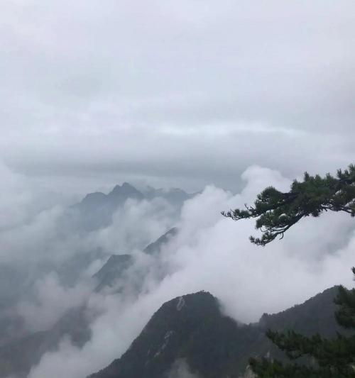 华山门票多少钱（你去过华山吗）