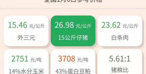 豬仔多少錢一頭（1月6日仔豬價格）
