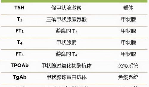 做甲状腺检查多少钱（怀疑自己有甲状腺疾病）
