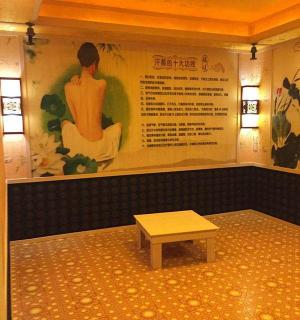 家用汗蒸房多少钱（家用汗蒸房什么类型好）