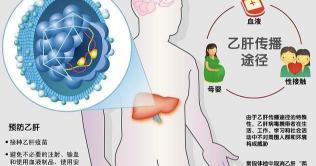 查肝功能多少钱（查乙肝病毒DNA一般花费多少钱）