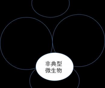罗红霉素多少钱（头孢）