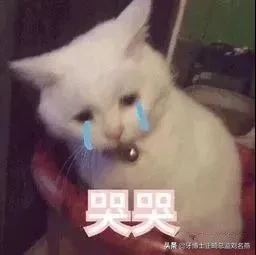 乳牙預成冠多少錢一顆（什么是預成冠）