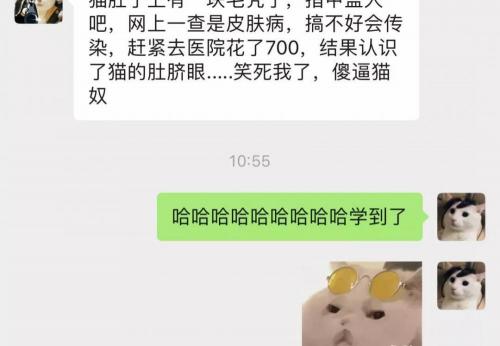 猫做b超多少钱（我花了700块）