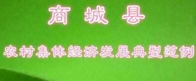 开个竹炭厂需要多少钱（河南商城）