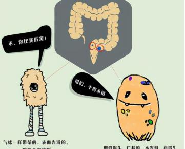 肛肠息肉手术多少钱（肛门长个小肉球）