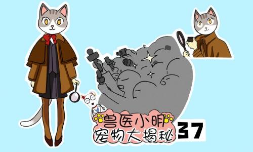 金毛打疫苗多少钱一针（辟谣）