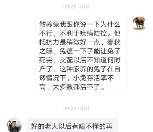 兔肉多少钱一斤（（10）
