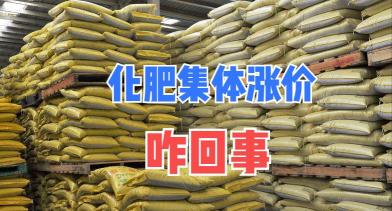 二铵多少钱一吨（化肥集体涨价）