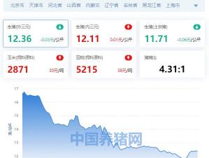 人民币一斤有多少钱（全国生猪价格涨跌表）