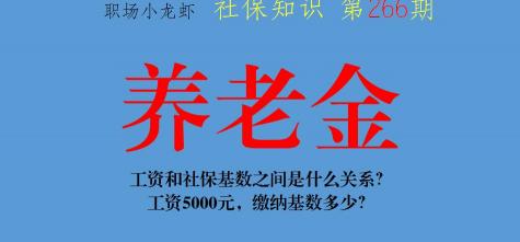 五险一个月交多少钱（工资和社保基数之间是什么关系）