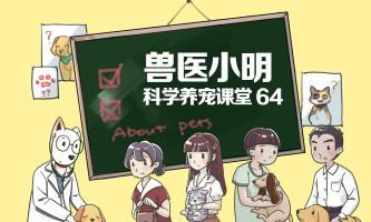 细小疫苗多少钱（狗狗患上犬细小）